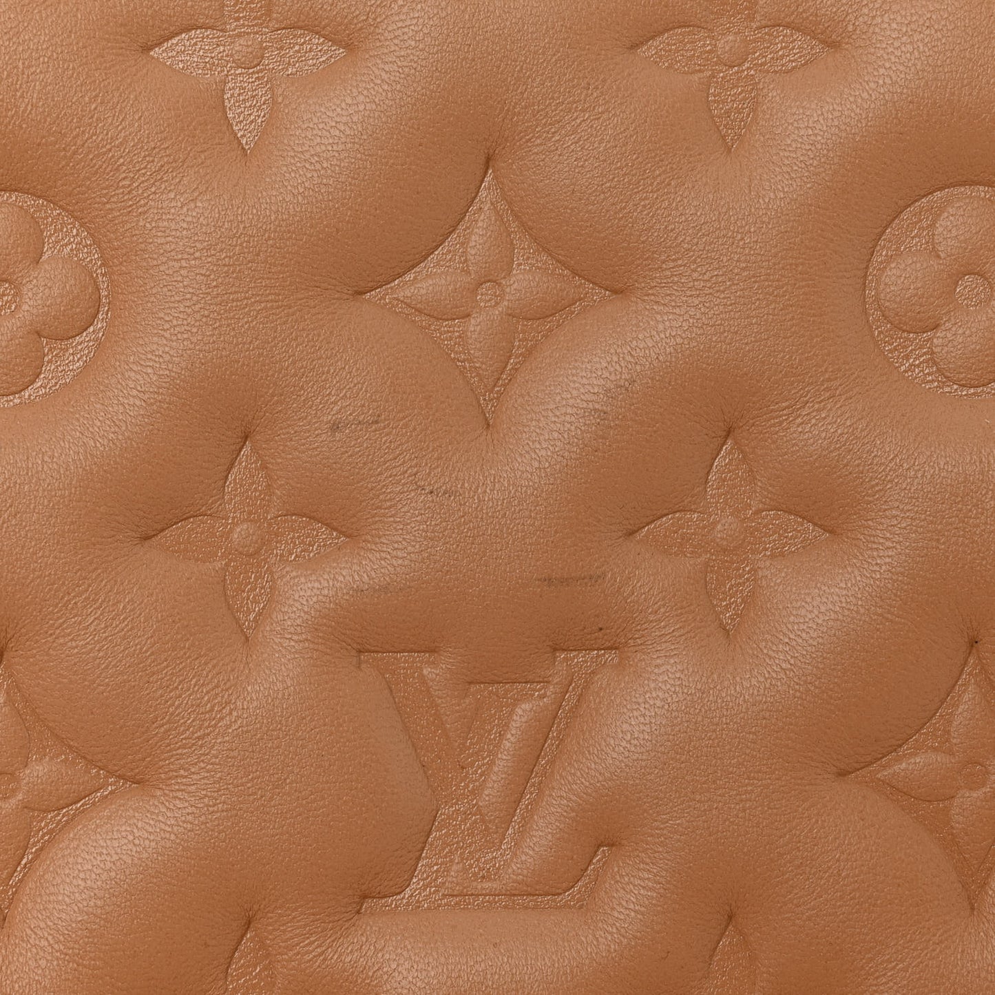 Lambskin Embossed Monogram Coussin PM Camel