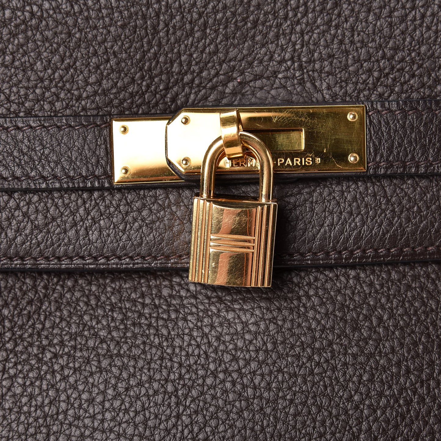 Taurillon Clemence Kelly Retourne 35 Chocolate