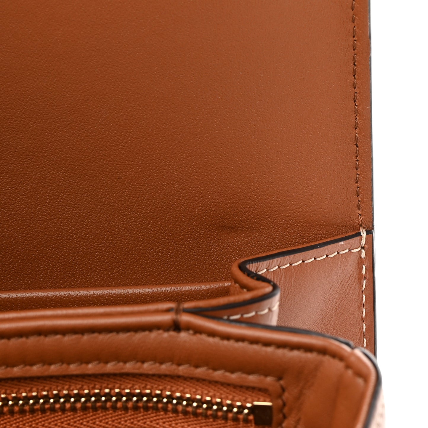 Canvas Calfskin Triomphe Embroidered Medium Triomphe Bag Tan