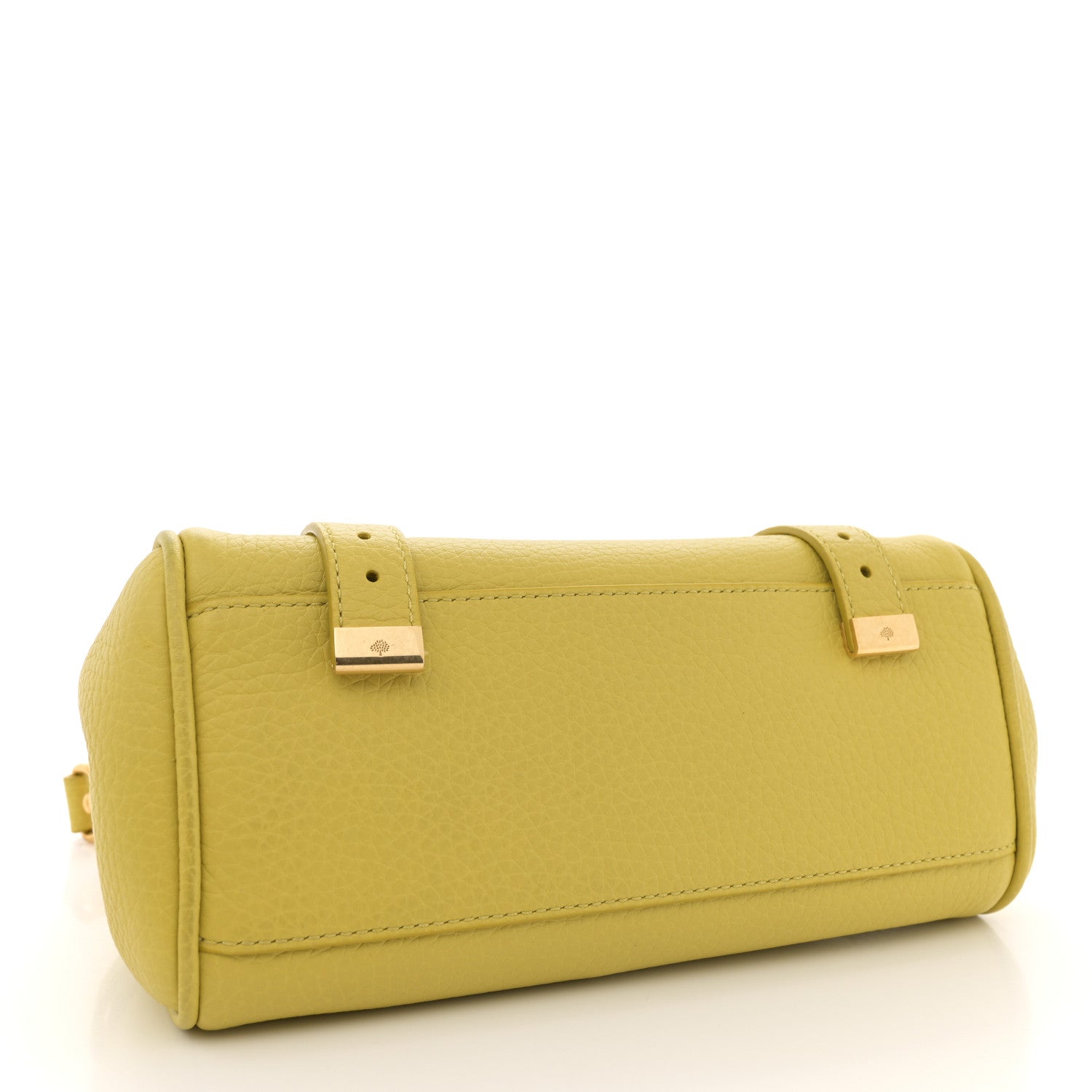 Mulberry Heavy Grain Mini Alexa Meadow Green 4 of 10