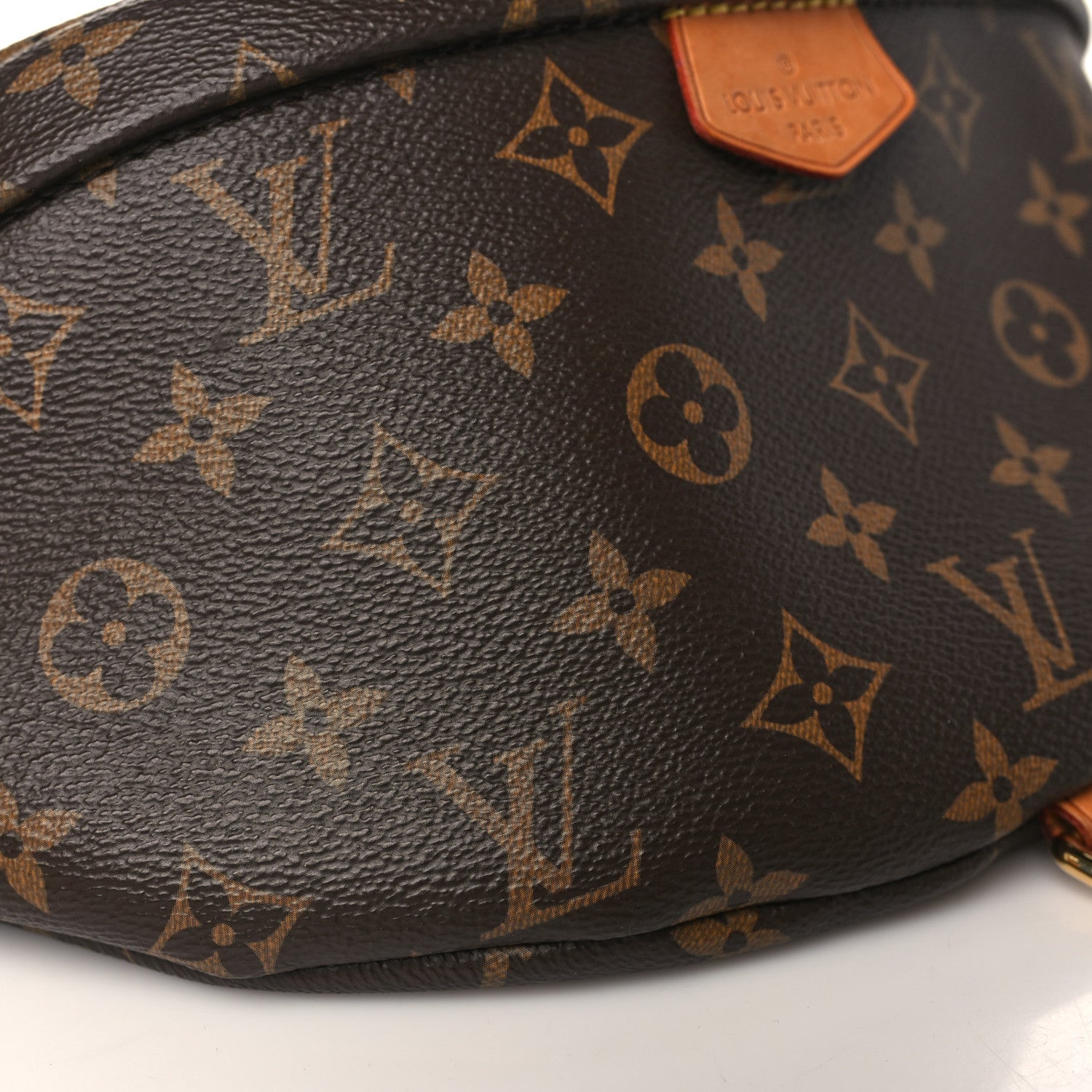 Louis Vuitton Monogram Bumbag 7 of 8