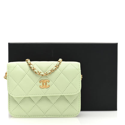 Chanel Lambskin Quilted Pearl Crush Clutch With Chain Light Green 11 of 11