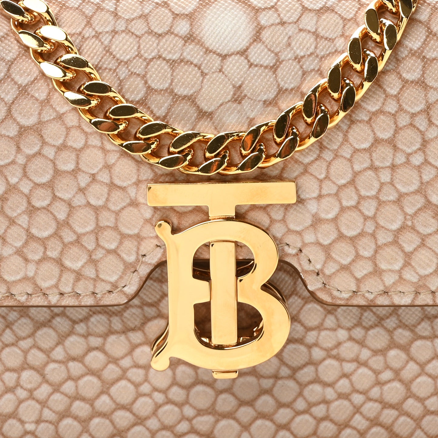 Calfskin Stingray Print Small TB Chain Bag Light Sand