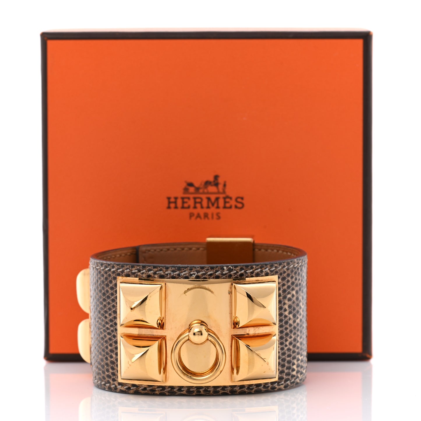 Lizard Collier De Chien CDC Bracelet S Ombre