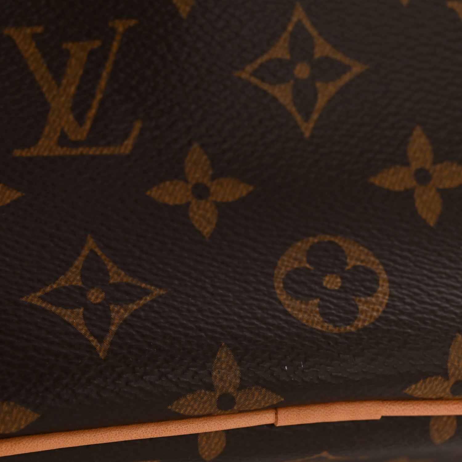 Louis Vuitton Monogram Nice Mini 12 of 12
