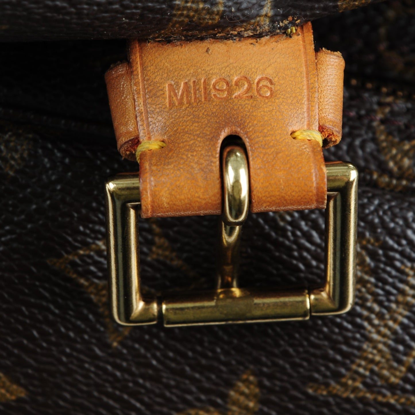 Monogram Montsouris GM Backpack