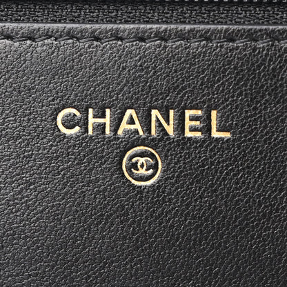 Chanel Lambskin Quilted Chanel 19 Wallet On Chain WOC Black 6 of 12