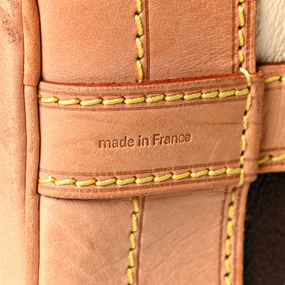 Louis Vuitton Monogram Rayures Noe 7 of 19