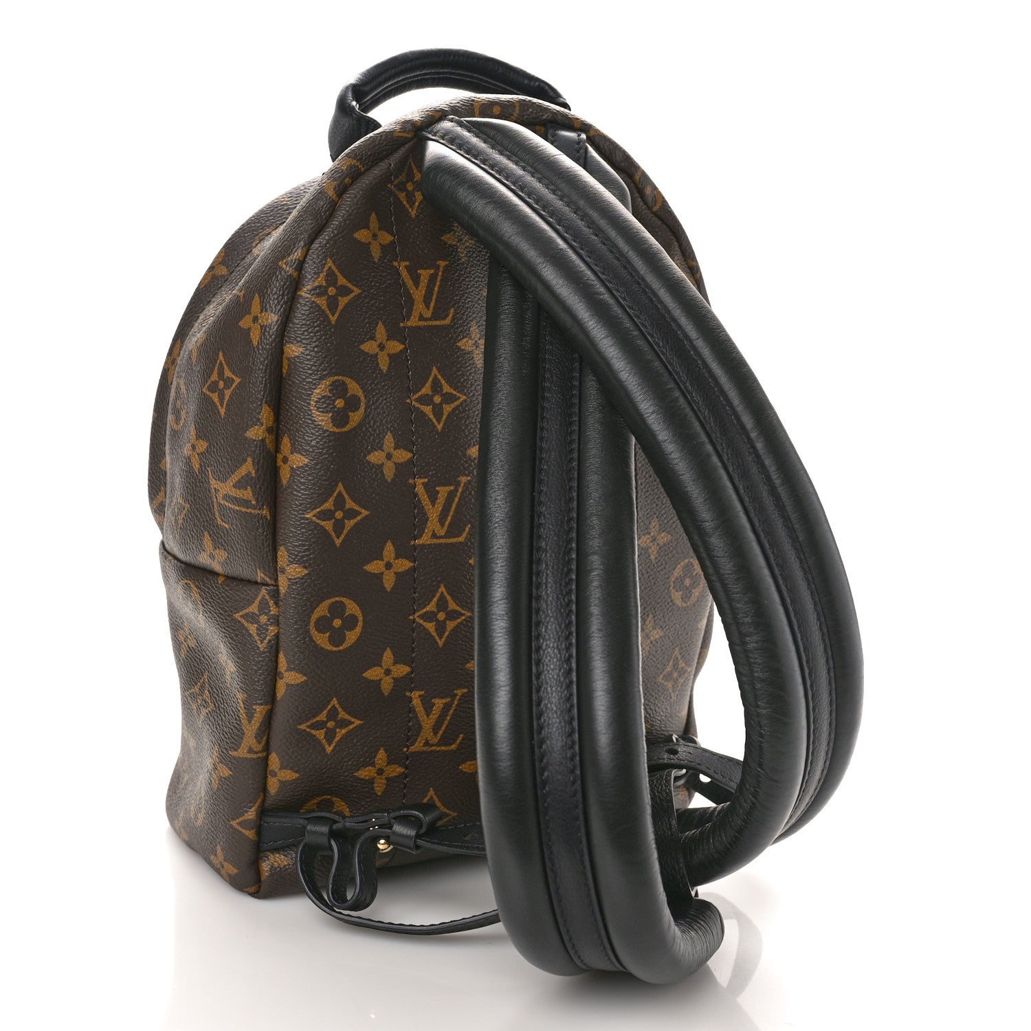 Louis Vuitton Monogram Palm Springs Backpack PM 2 of 10