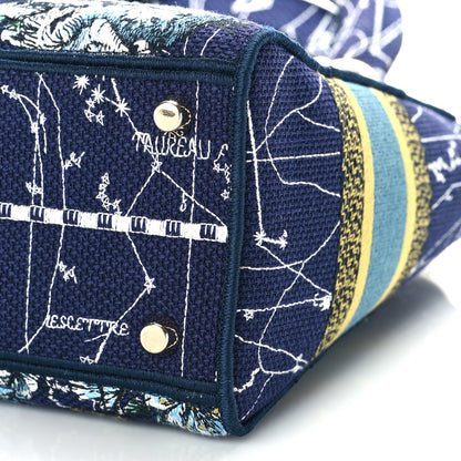 Christian Dior Canvas Embroidered Zodiac Medium Lady D-Lite Blue Multicolor 8 of 8