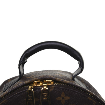 Louis Vuitton Monogram Palm Springs Backpack PM 12 of 12