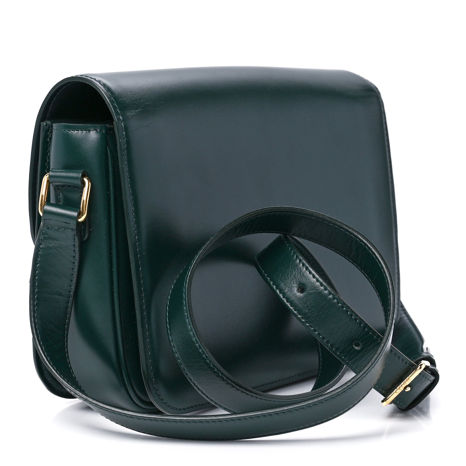 Celine Shiny Calfskin Medium Triomphe Amazone 3 of 12