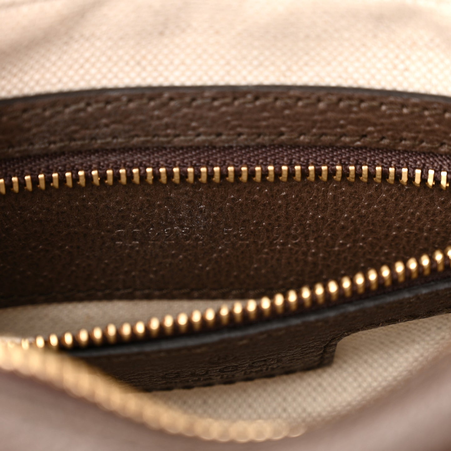 GG Supreme Monogram Textured Dollar Calfskin Mini Ophidia Flap Shoulder Bag Beige Ebony New Acero