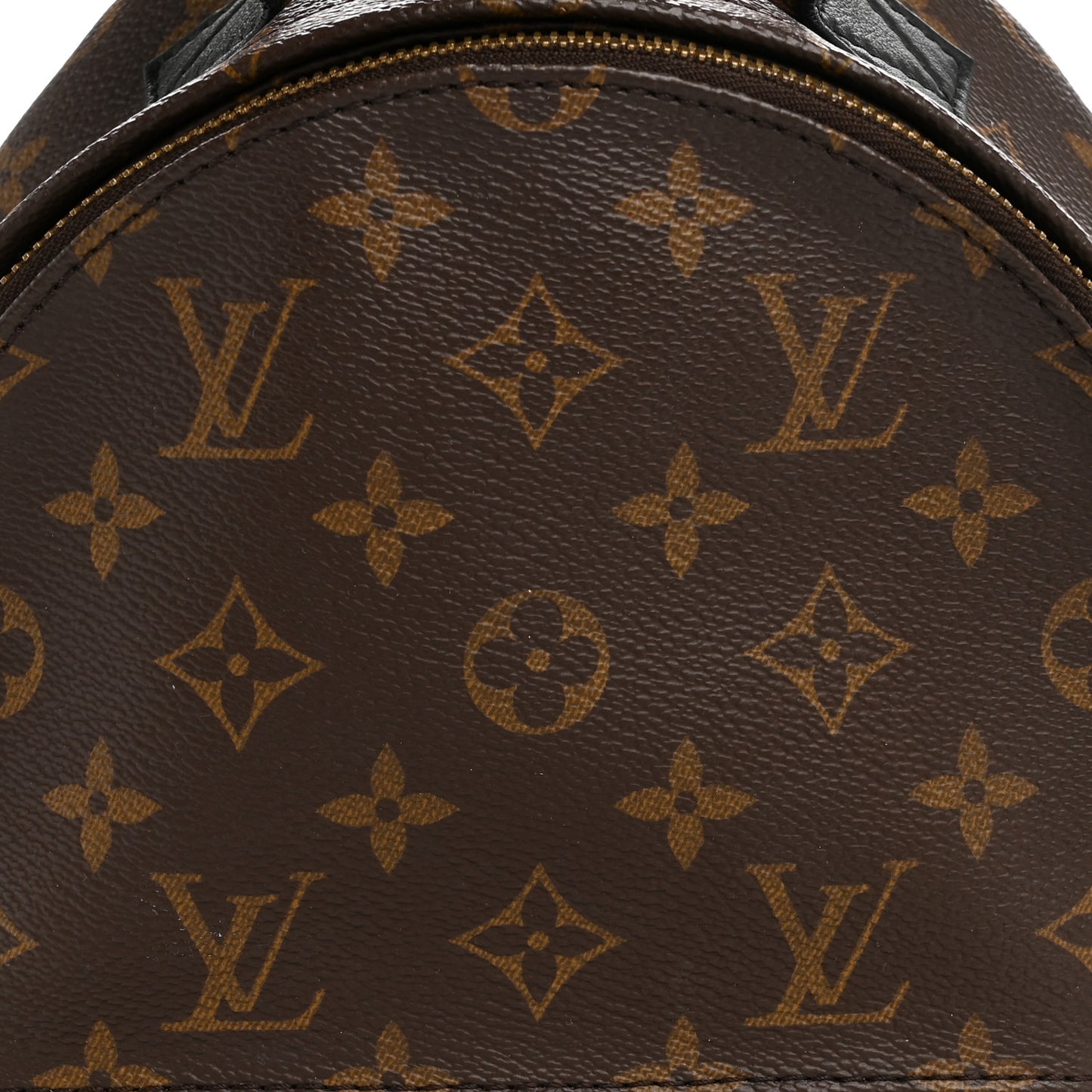 Monogram Palm Springs Backpack PM