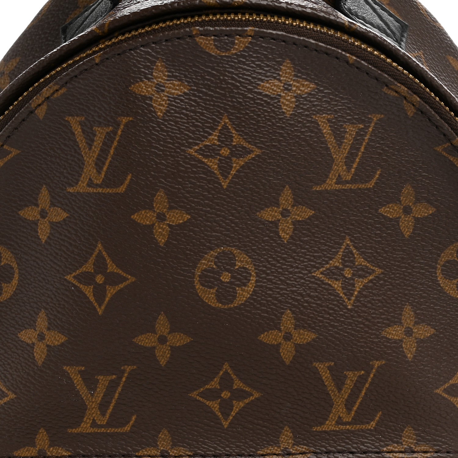 Louis Vuitton Monogram Palm Springs Backpack PM 8 of 12