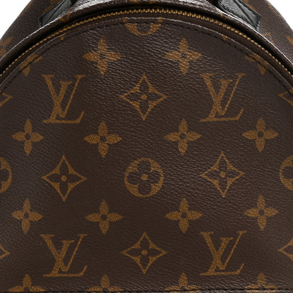 Louis Vuitton Monogram Palm Springs Backpack PM 8 of 12