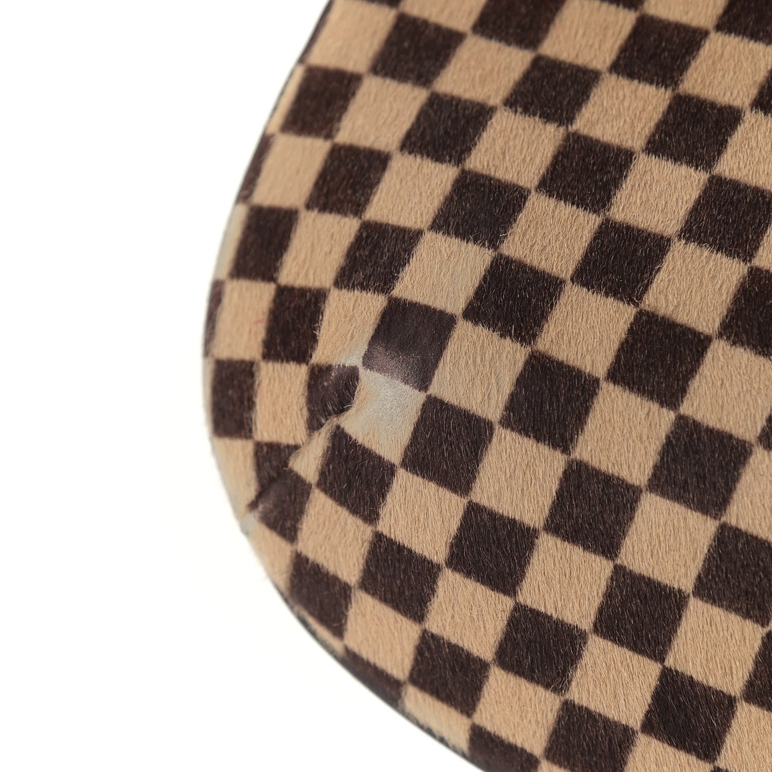 Louis Vuitton Calf Hair Damier Sauvage Tigre 13 of 14