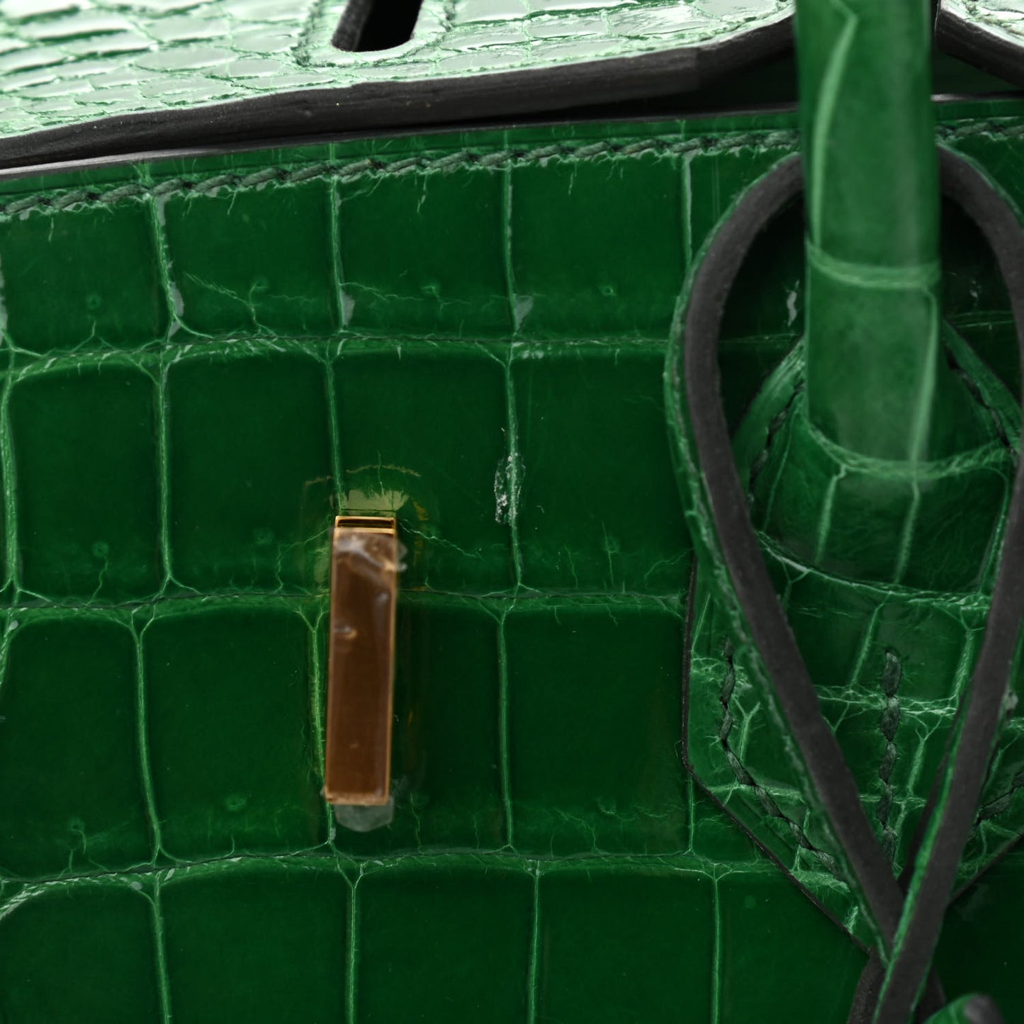 Shiny Niloticus Crocodile Birkin 25 Cactus