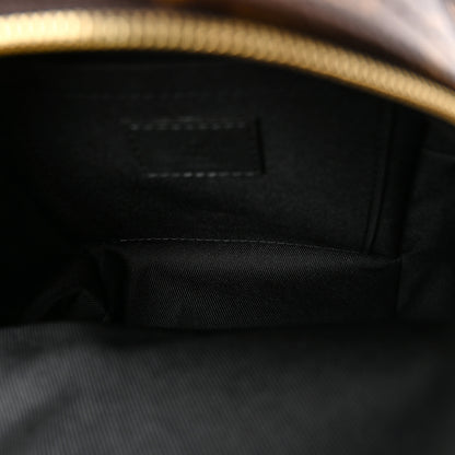 Louis Vuitton Monogram Palm Springs Backpack Mini 5 of 10