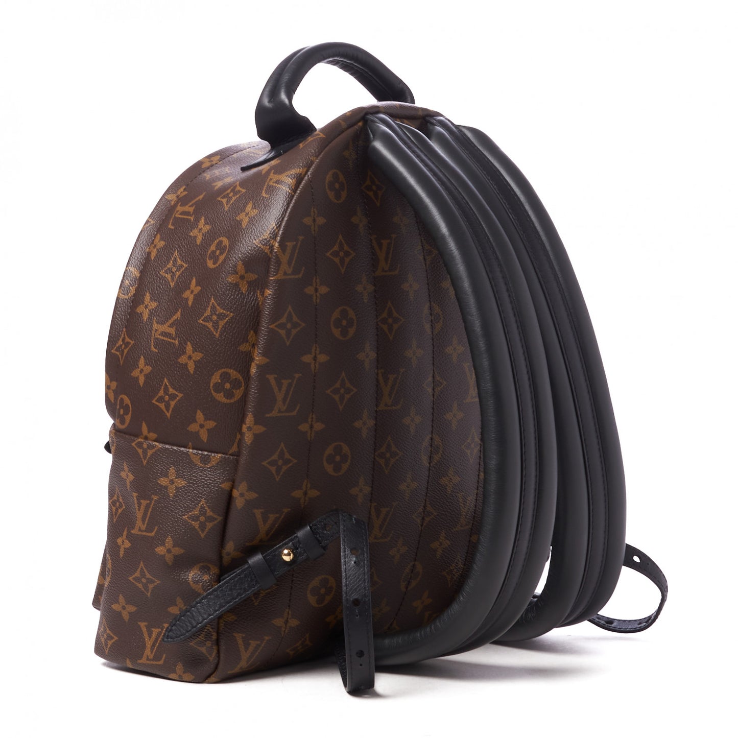 Monogram Palm Springs Backpack MM