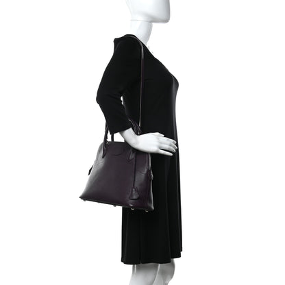 Hermes Chevre Mysore Bolide 31 Raisin 2 of 11