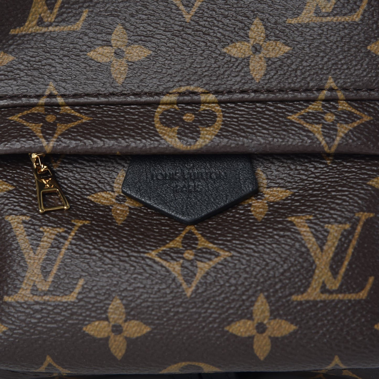 Monogram Palm Springs Backpack Mini
