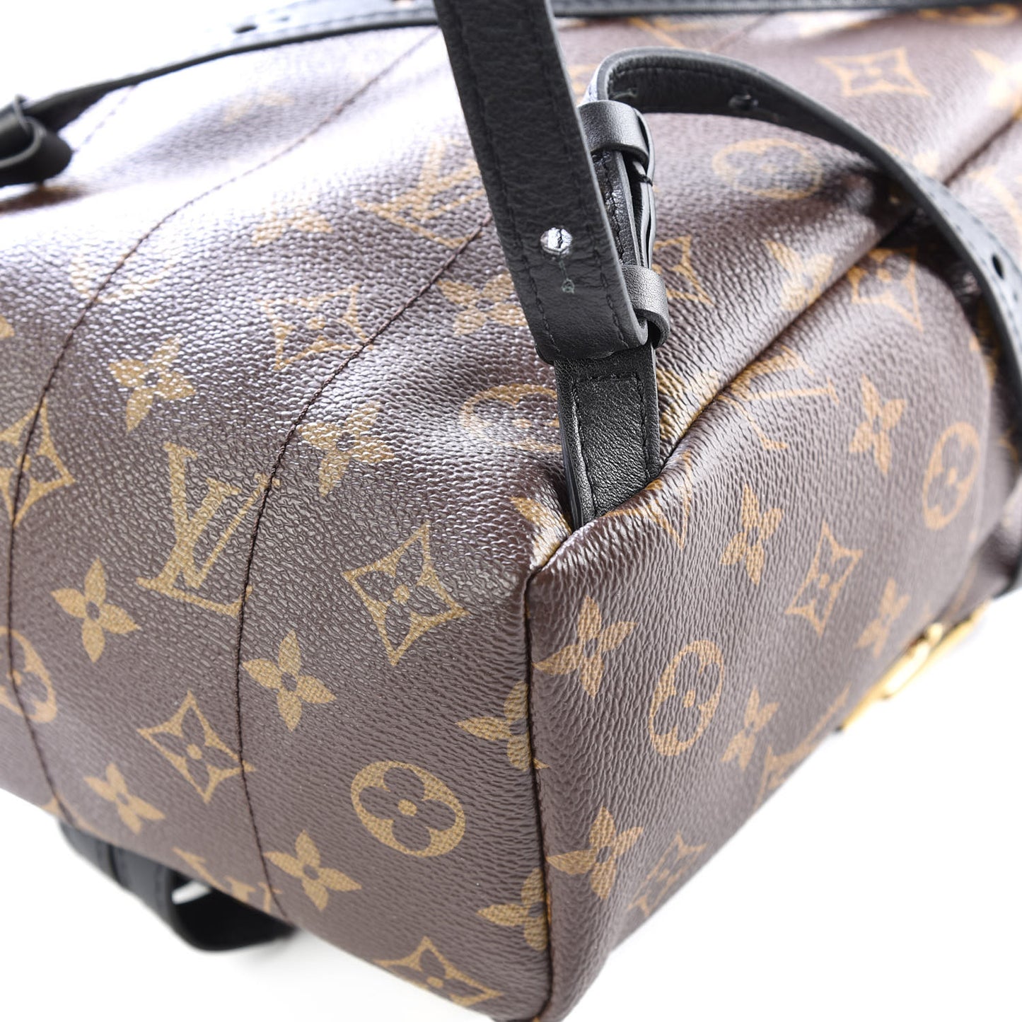 Monogram Palm Springs Backpack PM