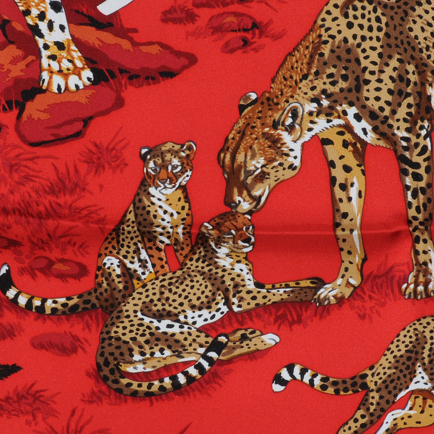 Silk Tendresse Feline Scarf 90