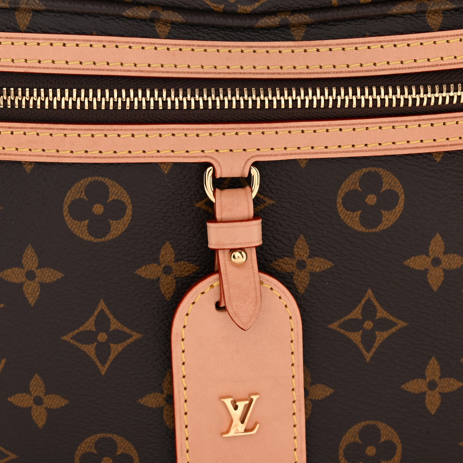 Louis Vuitton Monogram High Rise Bumbag 7 of 9