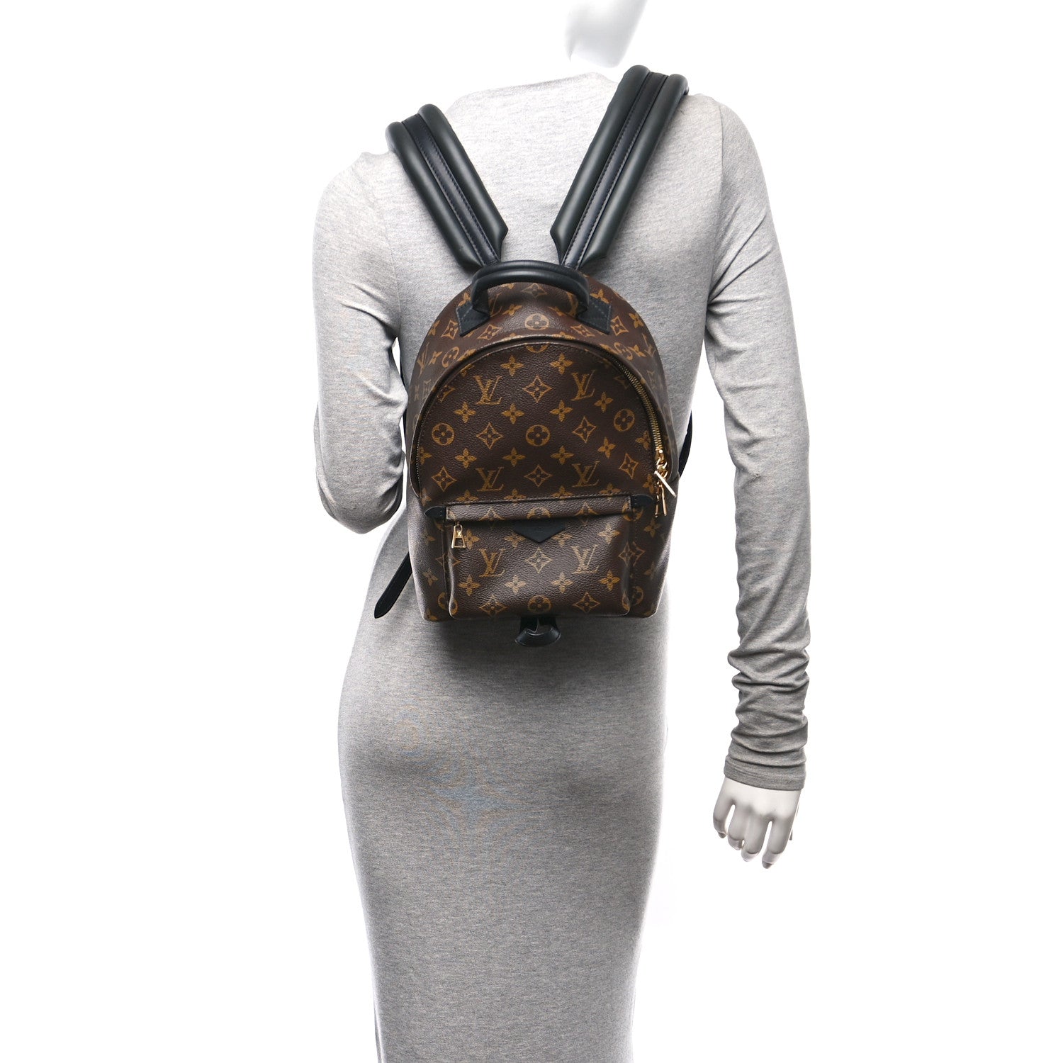 Louis Vuitton Monogram Palm Springs Backpack PM 3 of 11