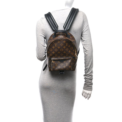 Louis Vuitton Monogram Palm Springs Backpack PM 3 of 11