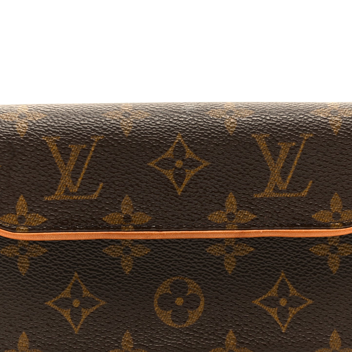 Monogram Pochette Florentine M