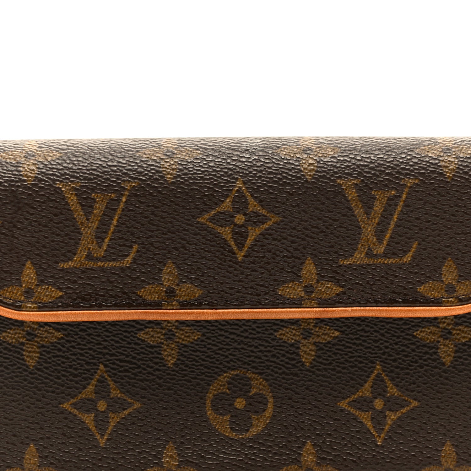 Louis Vuitton Monogram Pochette Florentine M 8 of 10