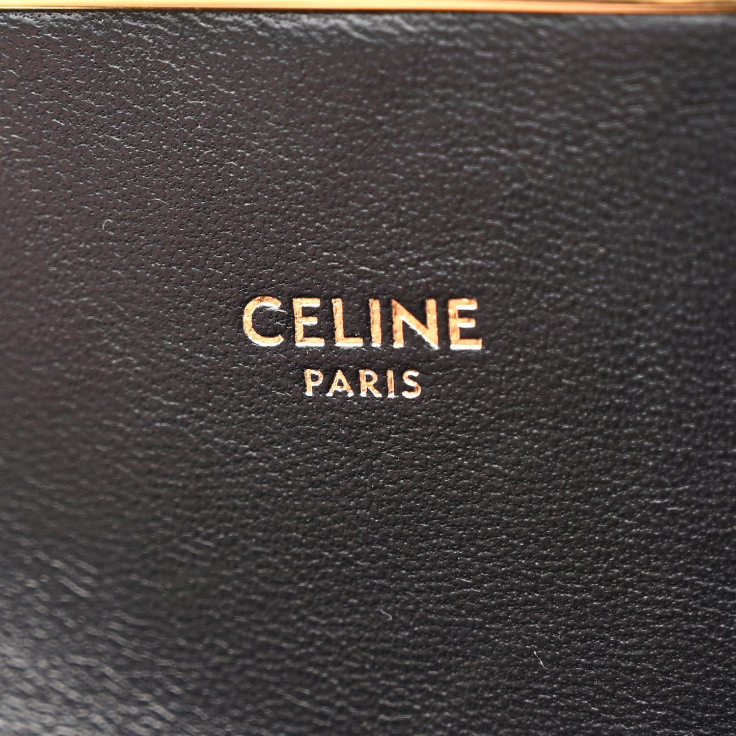 Canvas Calfskin Triomphe Embroidered Medium Triomphe Bag Black