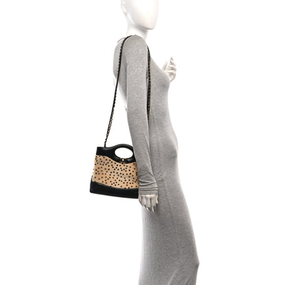 Chanel Shiny Lambskin Pony Hair Cheetah Printed Mini 31 Shopping Bag Light Beige Black 3 of 19
