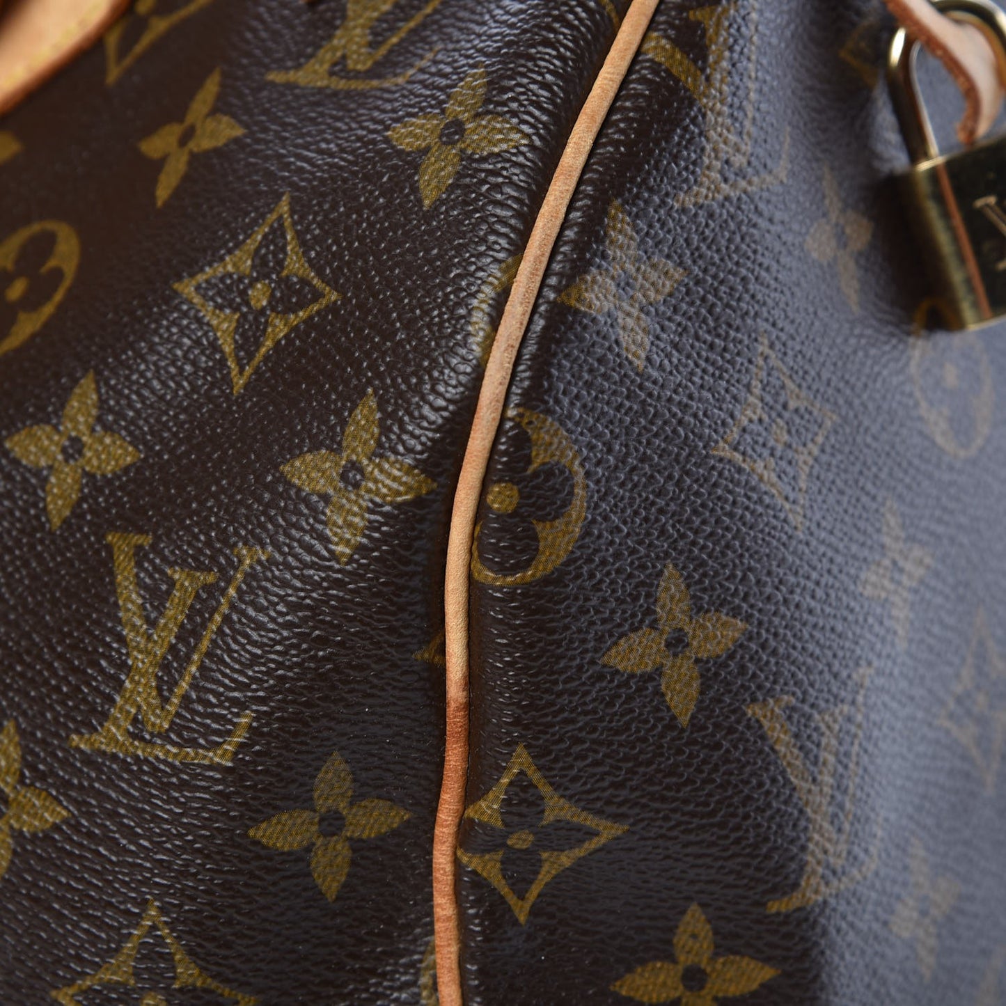 Monogram Speedy 30