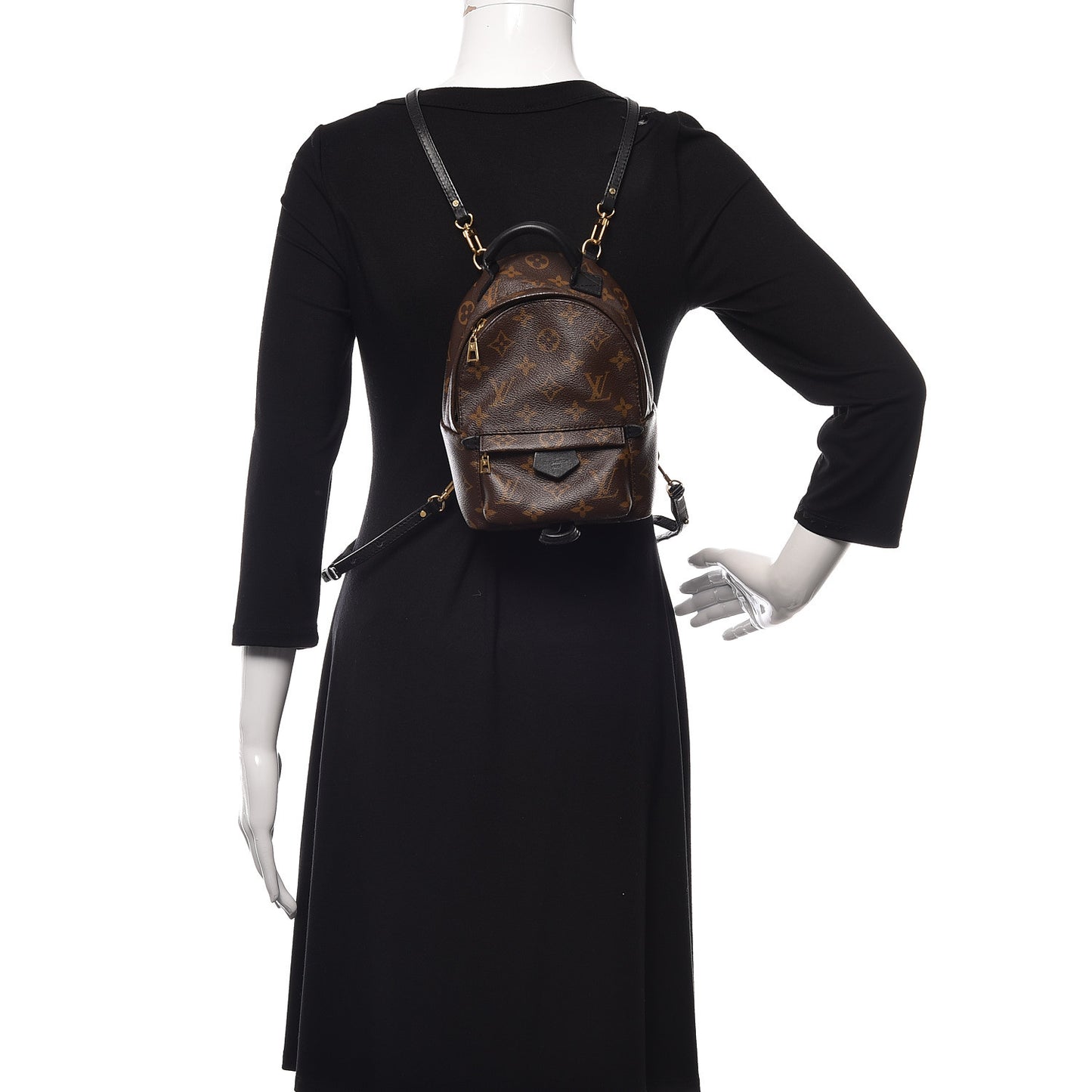Monogram Palm Springs Backpack Mini