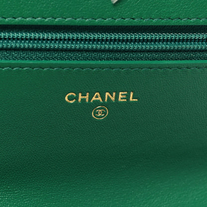 Chanel Lambskin Quilted Chanel 19 Wallet On Chain WOC Green 6 of 13