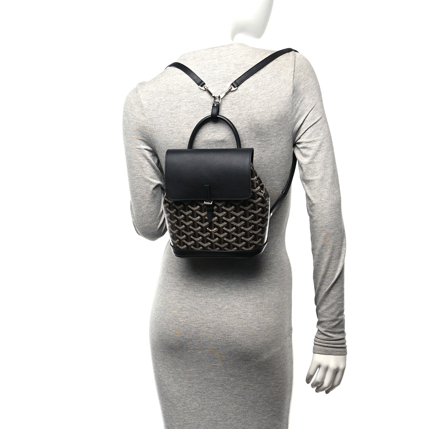 Goyard Goyardine Calfskin Mini Alpin Backpack Black 2 of 9