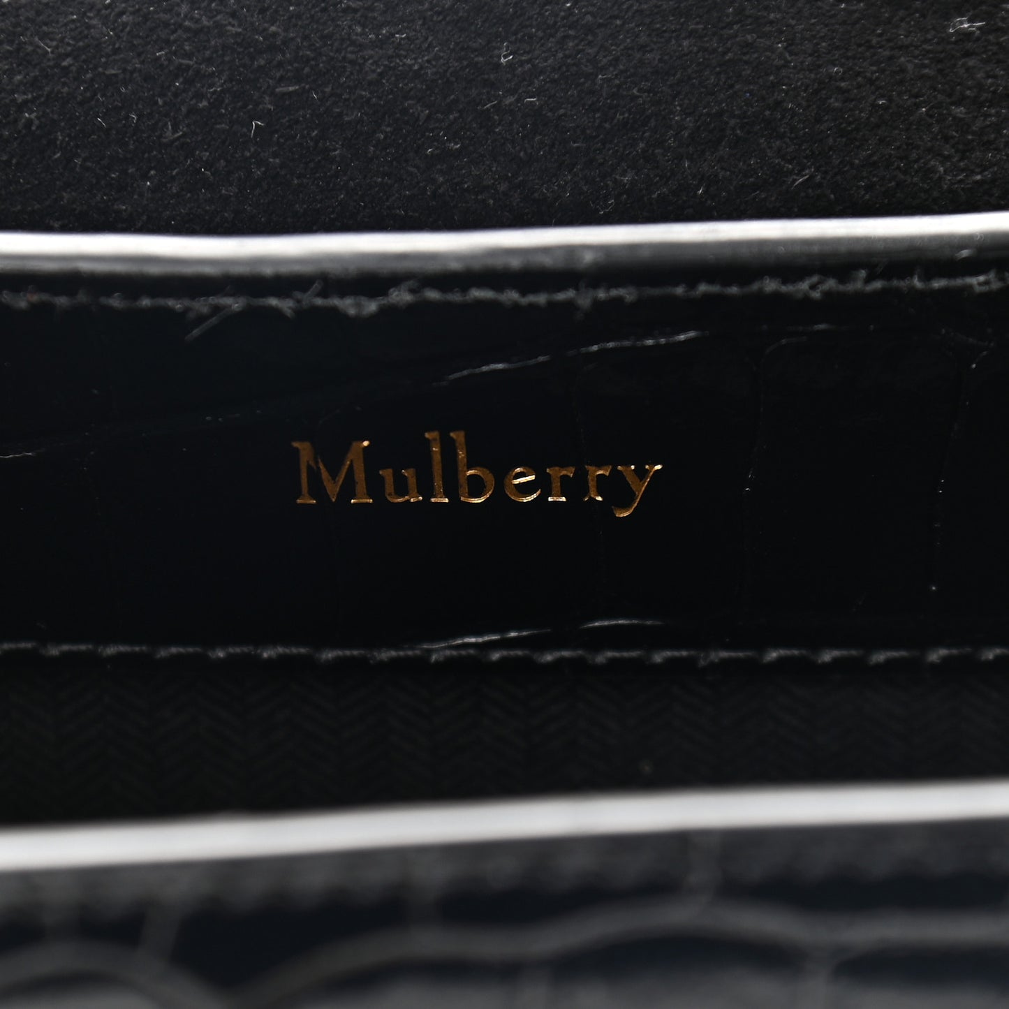 Shiny Croc Calfskin Embossed Micro Seaton Black