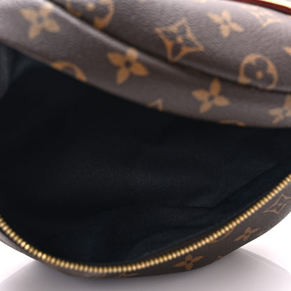 Louis Vuitton Monogram Bumbag 4 of 7