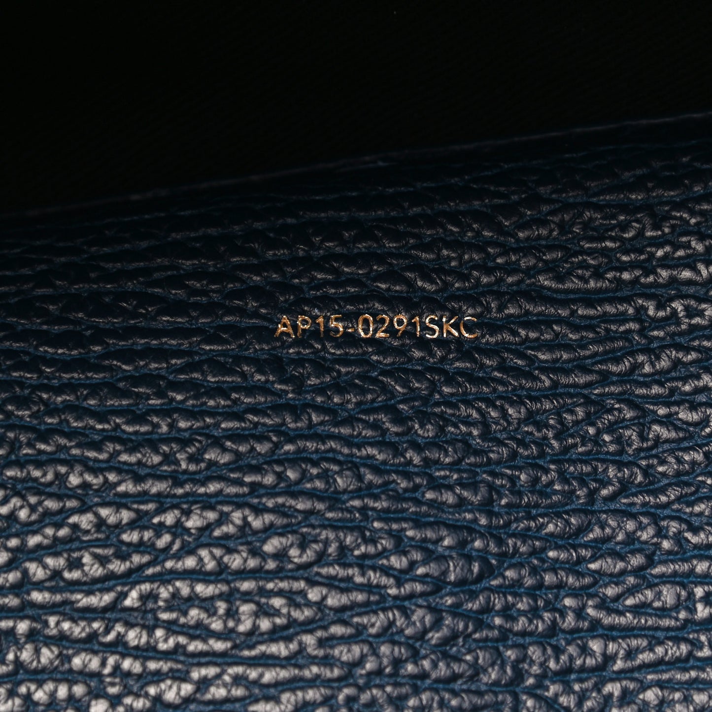 Textured Calfskin Pashli Backpack Navy