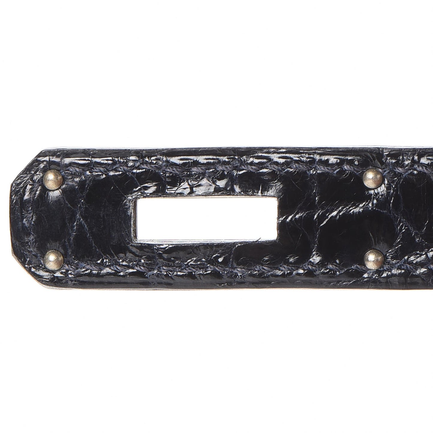 Shiny Niloticus Crocodile Kelly Sellier 32
