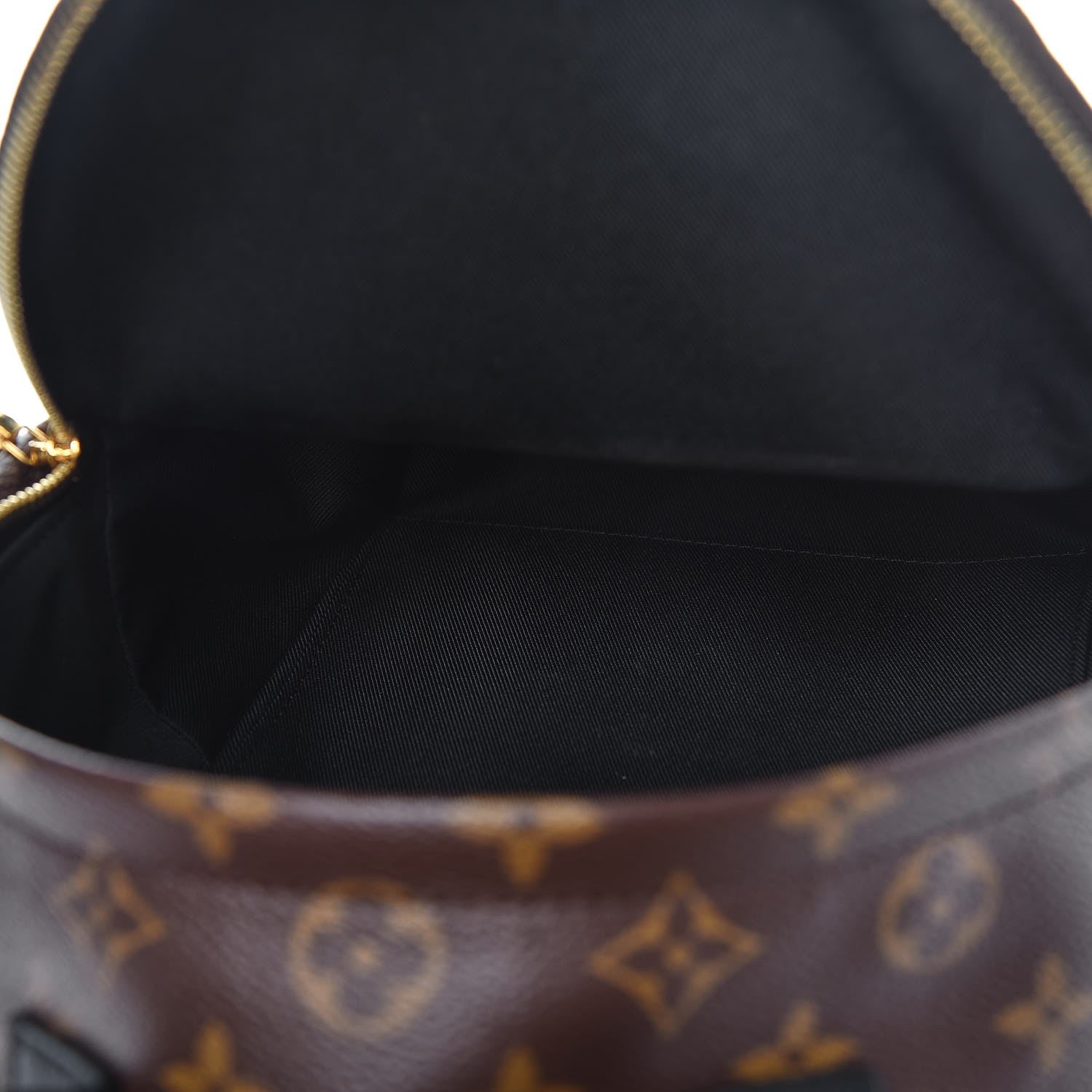 Louis Vuitton Monogram Palm Springs Backpack PM 5 of 8