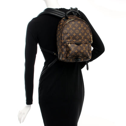 Louis Vuitton Monogram Palm Springs Backpack PM 2 of 8