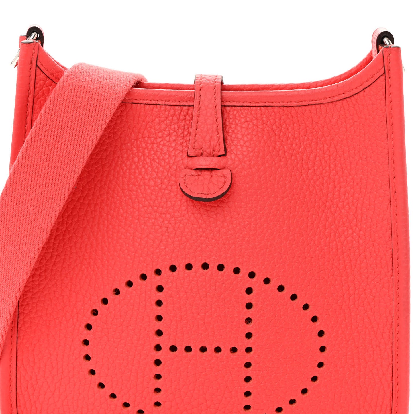 Taurillon Clemence Evelyne TPM Rose Texas