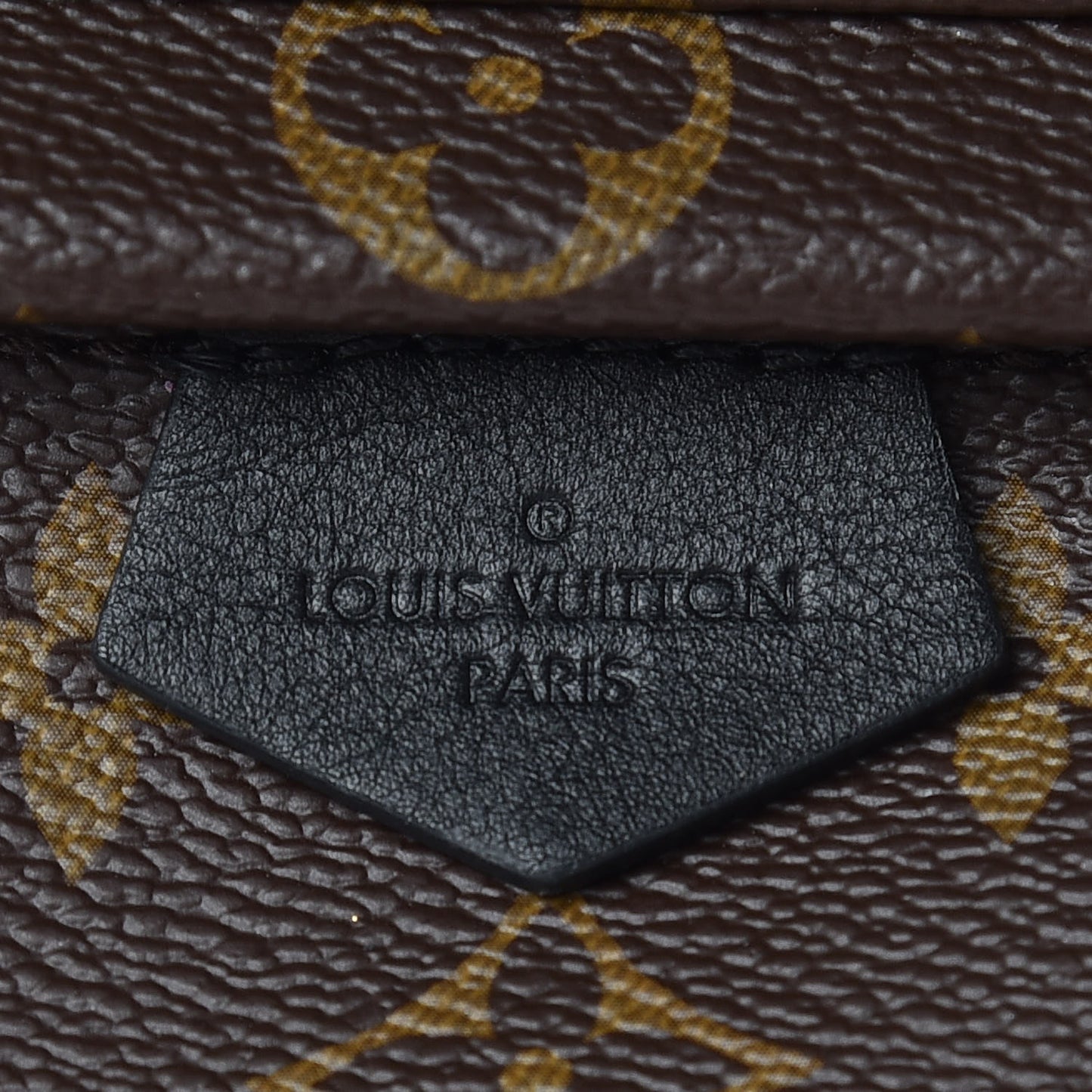 Monogram Palm Springs Backpack Mini
