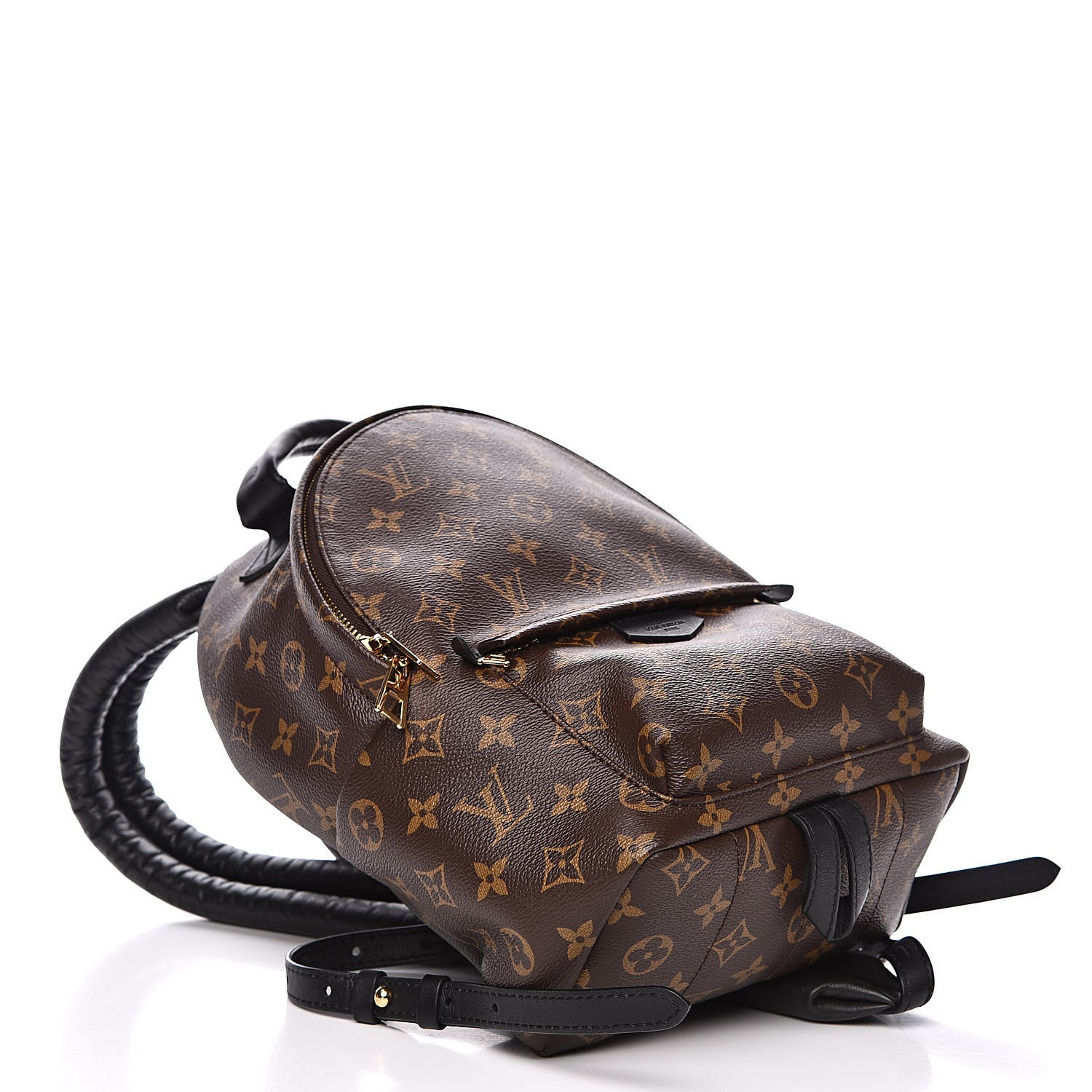 Louis Vuitton Monogram Palm Springs Backpack PM 4 of 9