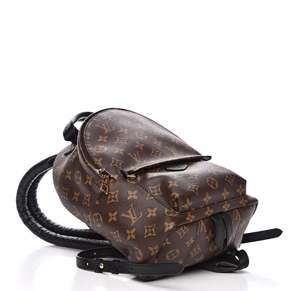 Louis Vuitton Monogram Palm Springs Backpack PM 4 of 9
