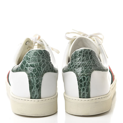 Gucci Calfskin Crocodile Web Mens Ace Sneakers 13 White Green 5 of 13